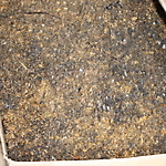 Обезвреживание отходов