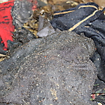 Сбор и транспортировка и обработка отходов